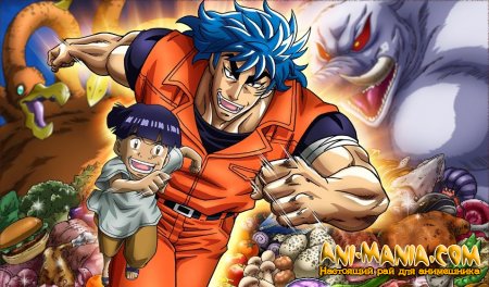     Toriko