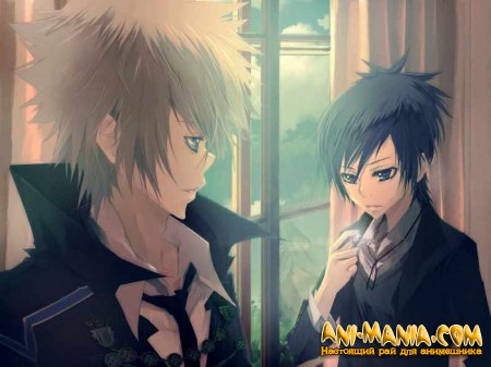   Katekyo Hitman Reborn!