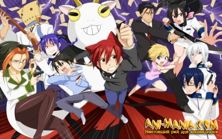    Cuticle Detective Inaba