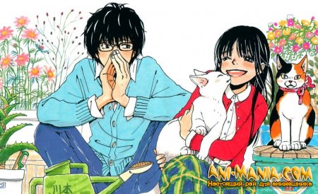 Live-action   Shiawase no Jikan