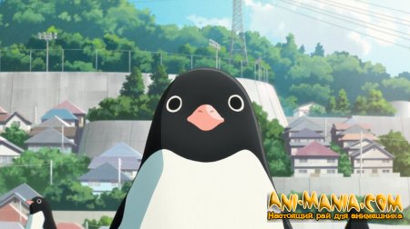  Penguin Highway    