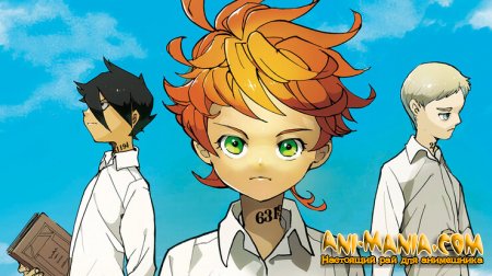  Shueisha    Weekly Shonen Jump      - 